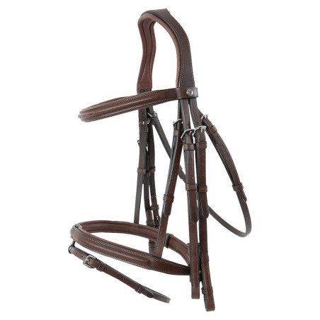 TRUST Bridle Abu Dhabi