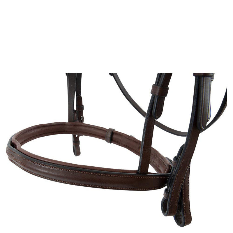TRUST Bridle Abu Dhabi