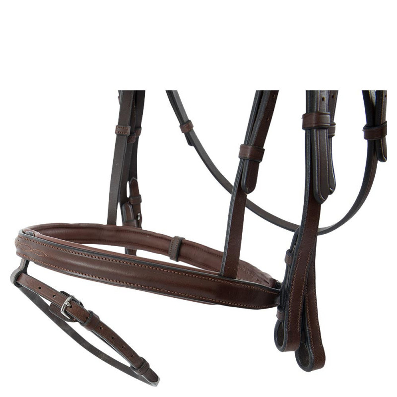 TRUST Bridle Abu Dhabi