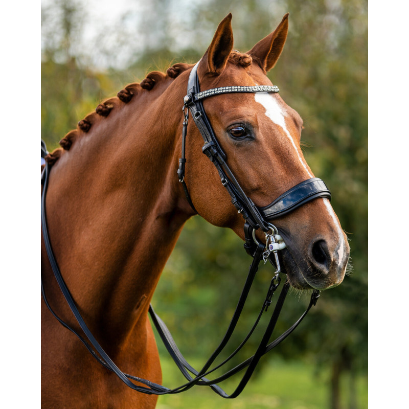 FayRein weymouth  - Presteq Mors and more