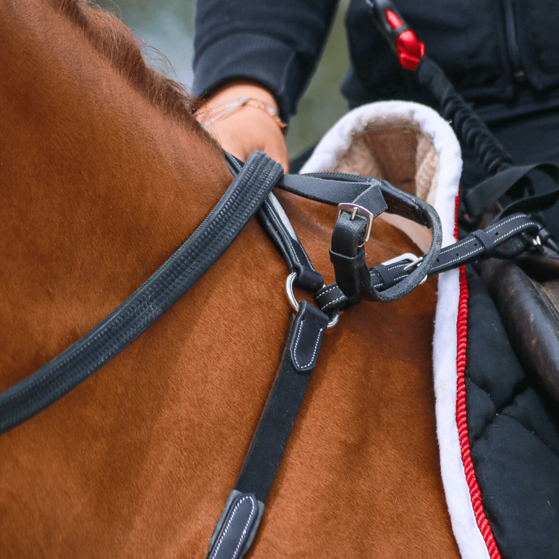 Collier de chasse Shiny - Treadstone | Mors & More