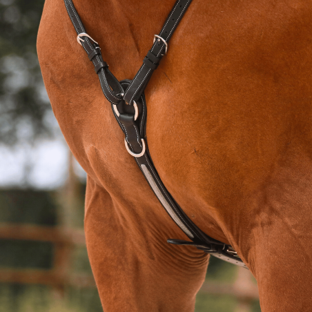 Hunting collar