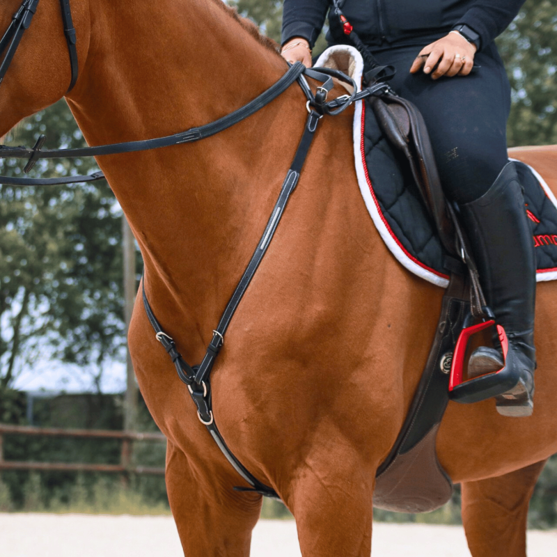 Collier de chasse Shiny - Treadstone | Mors & More