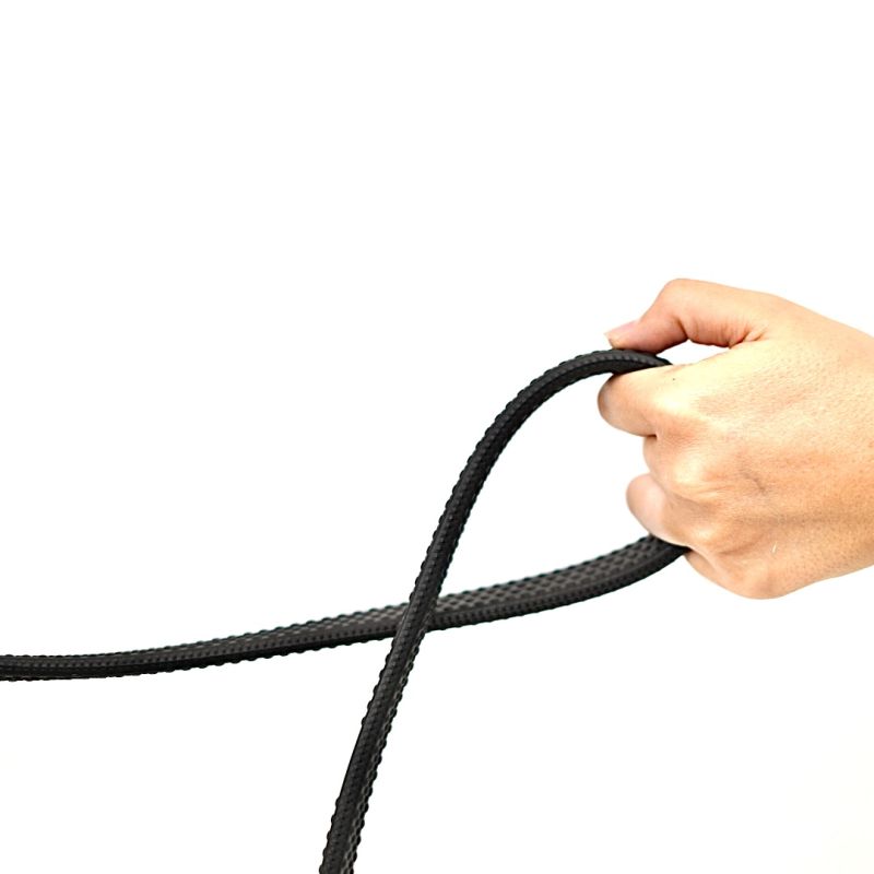 Gag Reins