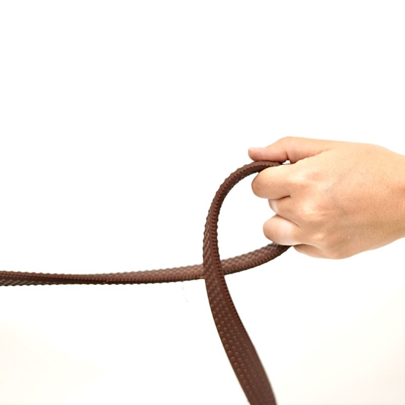 Leather reins with handles