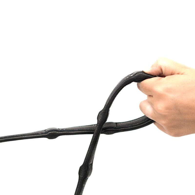 copy ofLeather reins with handles