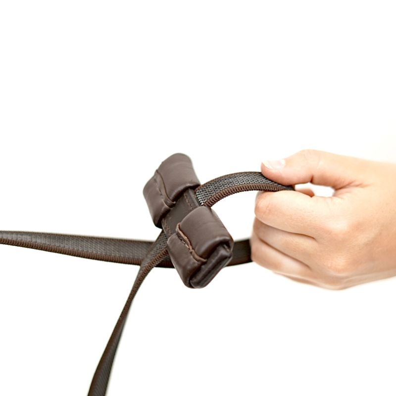 Rein with Single Padded Hand Grip Aaron Vale - Correct Connect