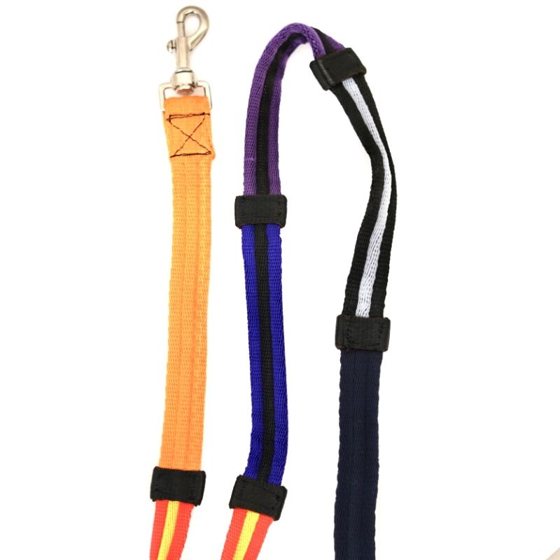 Fabric reins colors education Norton