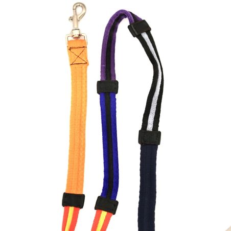 Fabric reins colors education Norton