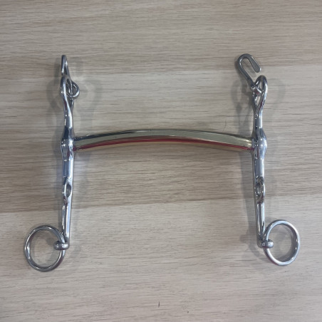 Thoroughbred Weymouth used