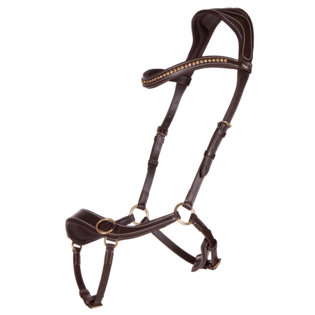 Bridon sans mors Anatomical QHP - QHP | Mors & More