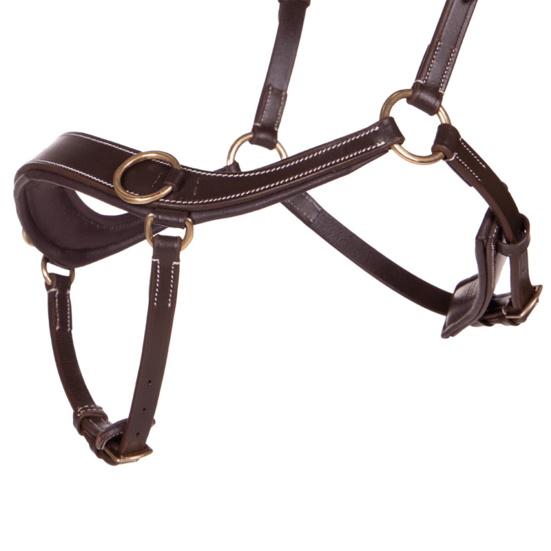 X-Line Bitless Bridle - reins