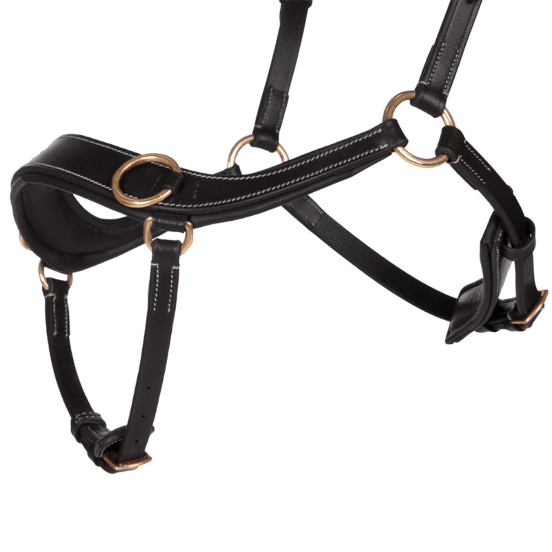 X-Line Bitless Bridle - QHP | Mors & More