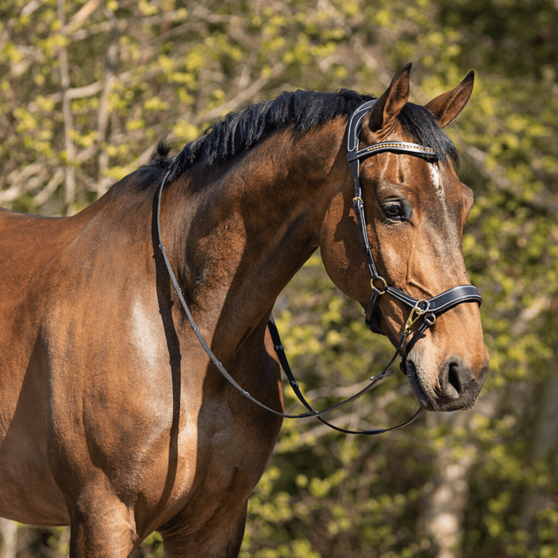 X-Line Bitless Bridle - reins