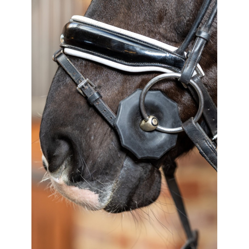 Contoured Bit Guards - Le Mieux