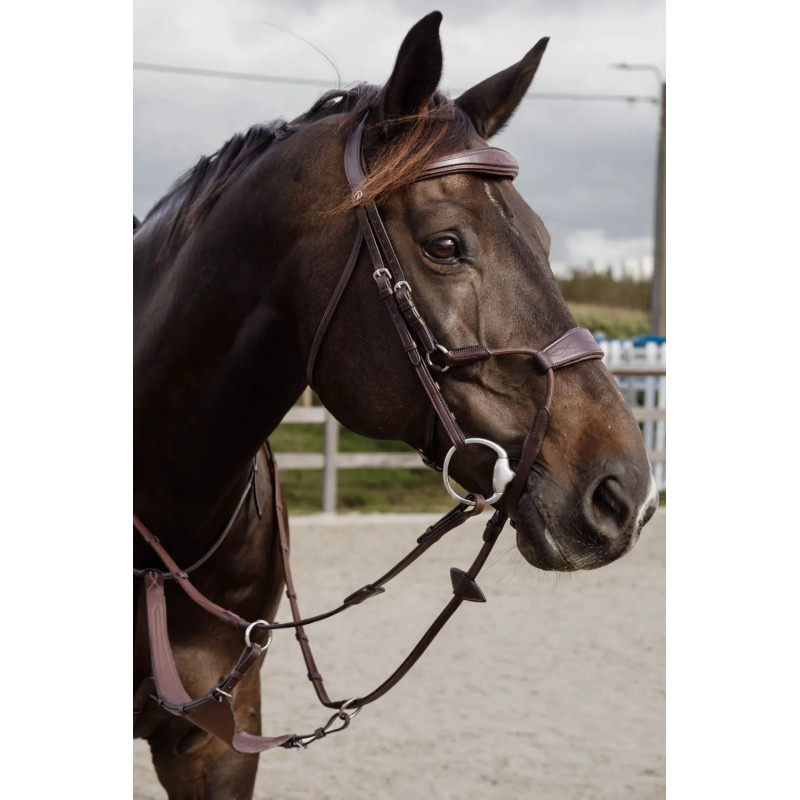 Elastic Hybrid Noseband Bridle - New English - Dy'on