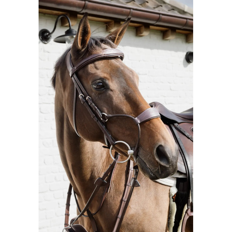 Hybrid Noseband Bridle - New English - Dy'on