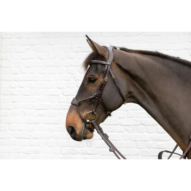 Elastic Hybrid Noseband Bridle - D Collection - Dy'on