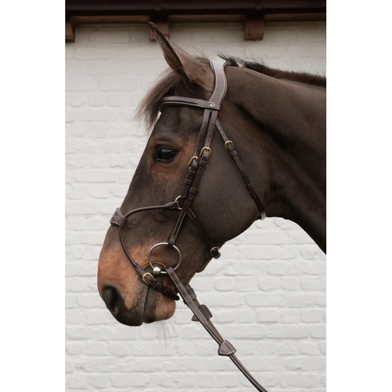 Hybrid Noseband Bridle - D Collection - Dy'on