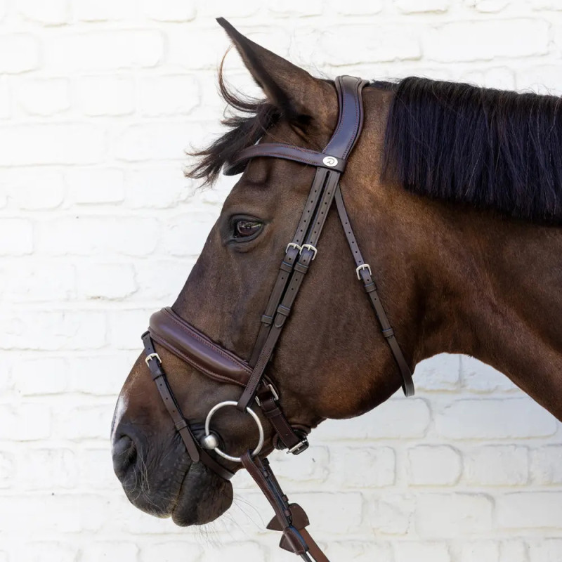 Bridle Medium Noseband - Soft Leather Collection - Dy'on
