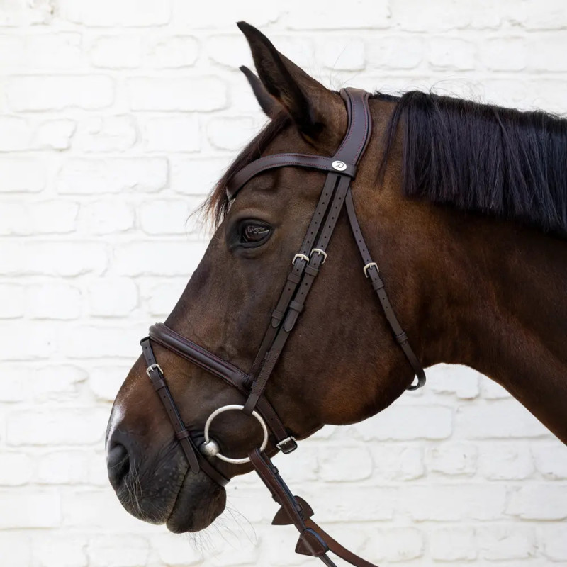 Flash Noseband Bridle - Soft Leather Collection - Dy'on