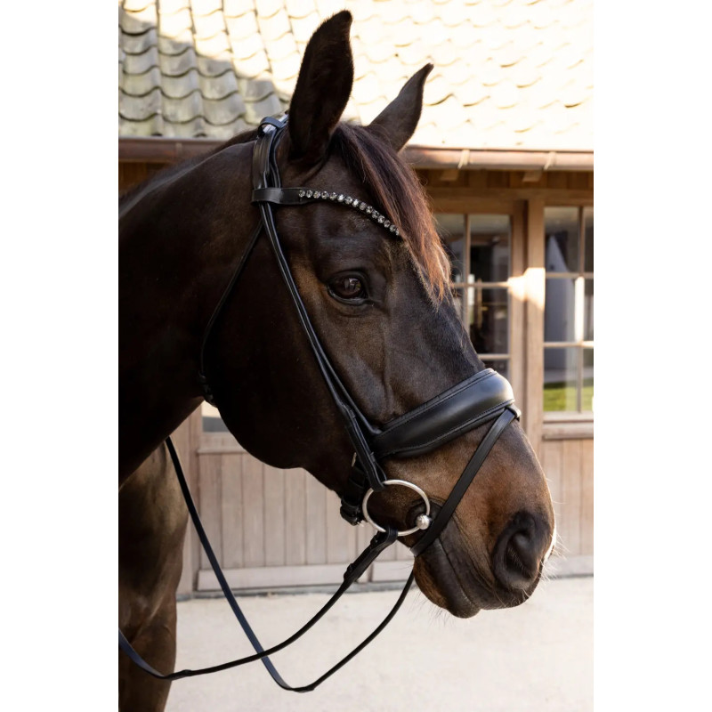 ComfoHead Bridle - Working by Dy'on