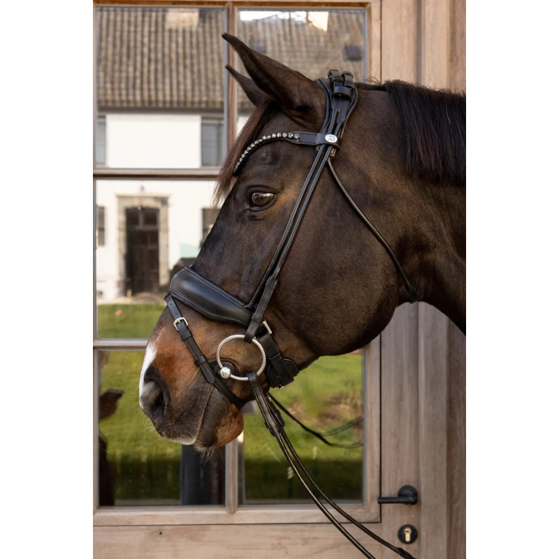 ComfoHead Bridle - Working by Dy'on