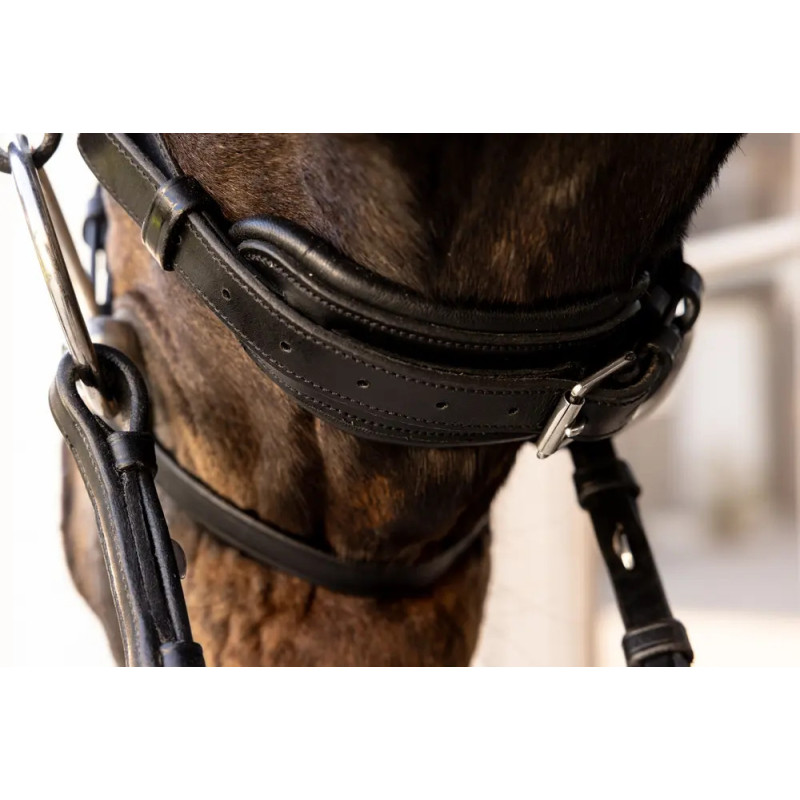 ComfoHead Bridle - Working by Dy'on