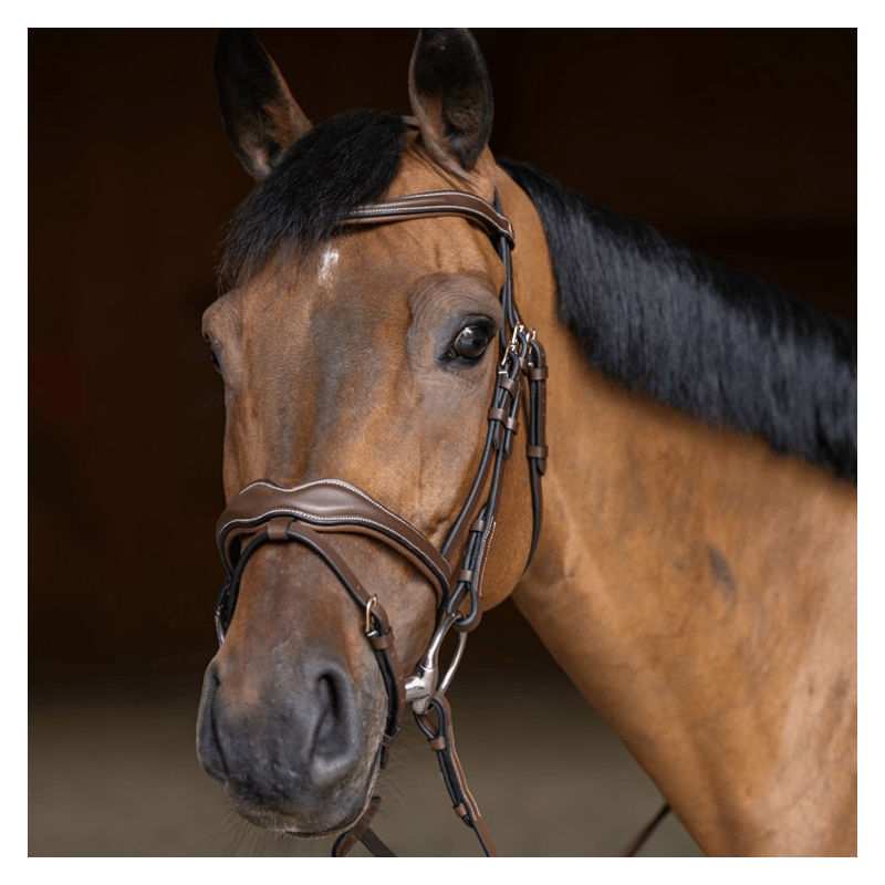 Wavy Bridle - HFI | Mors & More