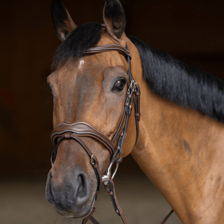 Wavy Bridle - HFI