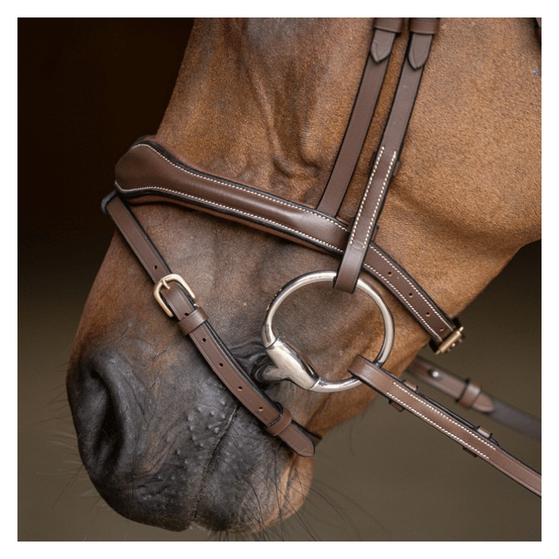 Wavy Bridle - HFI | Mors & More