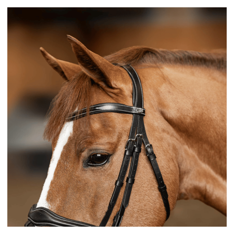 Wavy Bridle - HFI | Mors & More