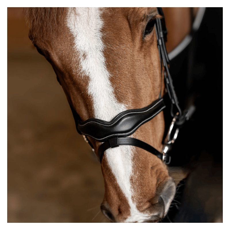 Wavy Bridle - HFI | Mors & More