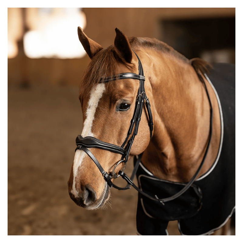Wavy Bridle - HFI | Mors & More