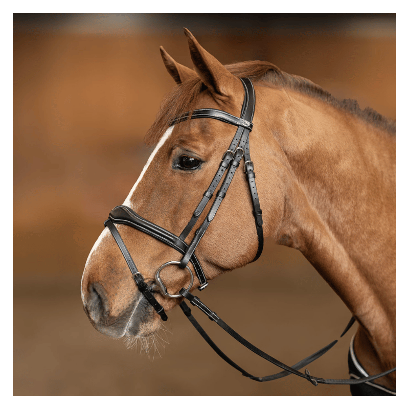 Wavy Bridle - HFI | Mors & More