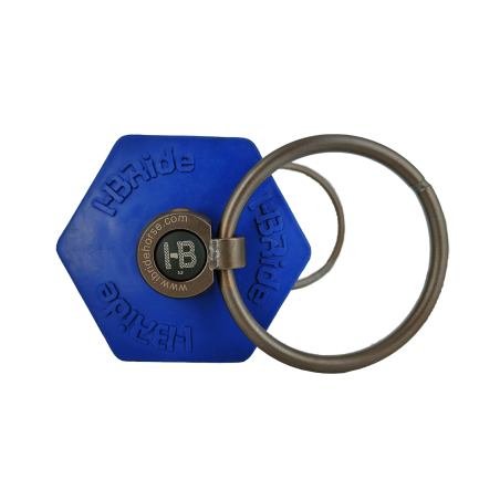 Simple sliding buckles- offset mouthpiece PRO + - I-BRIDE