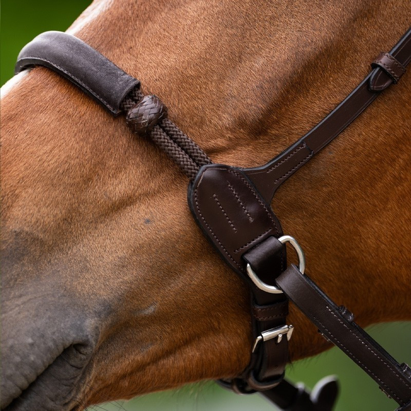 Bitless Bridle Evolution Collection | Mors & More