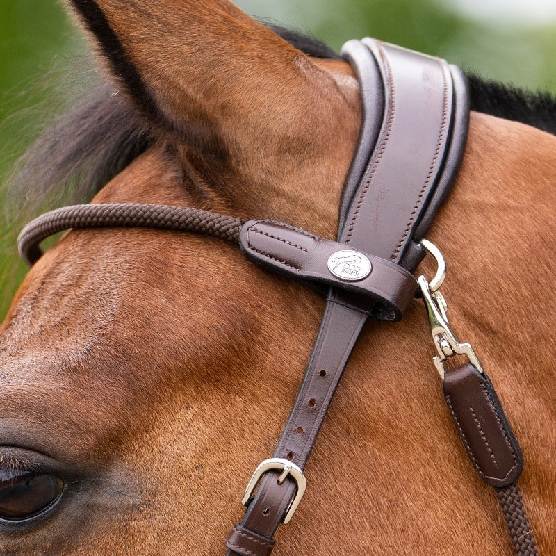 Bitless Bridle Evolution Collection | Mors & More