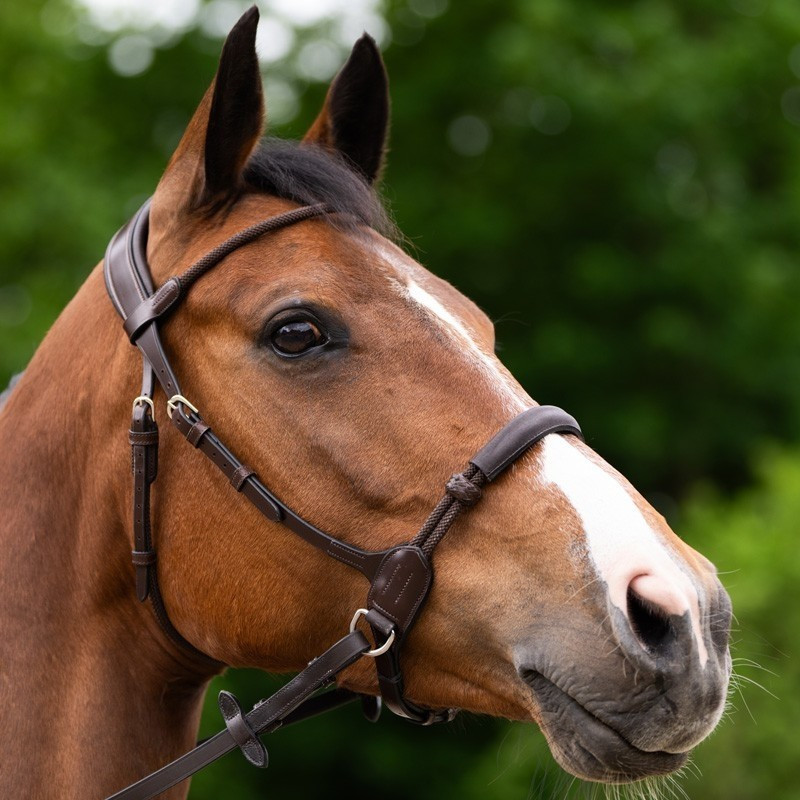 Bitless Bridle Evolution Collection | Mors & More