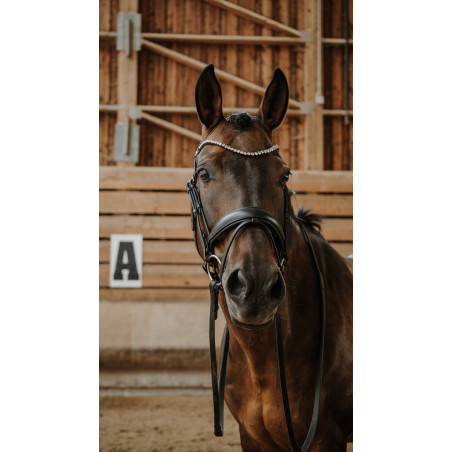 Norton Bridle Diams