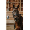 Norton Bridle Diams