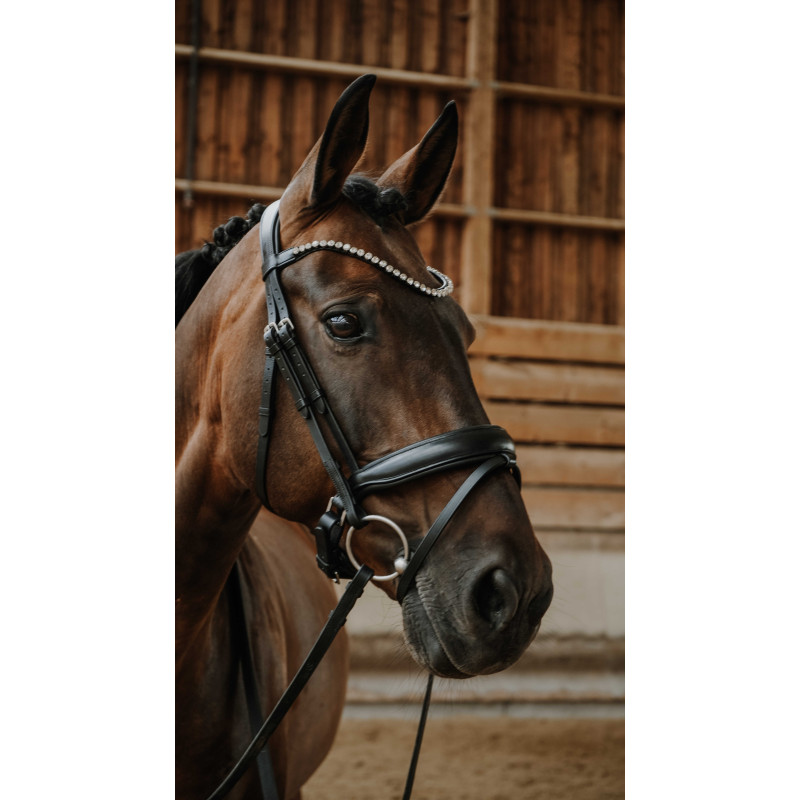 Norton Bridle Diams