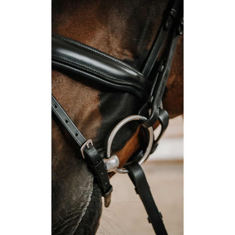 Norton Bridle Diams