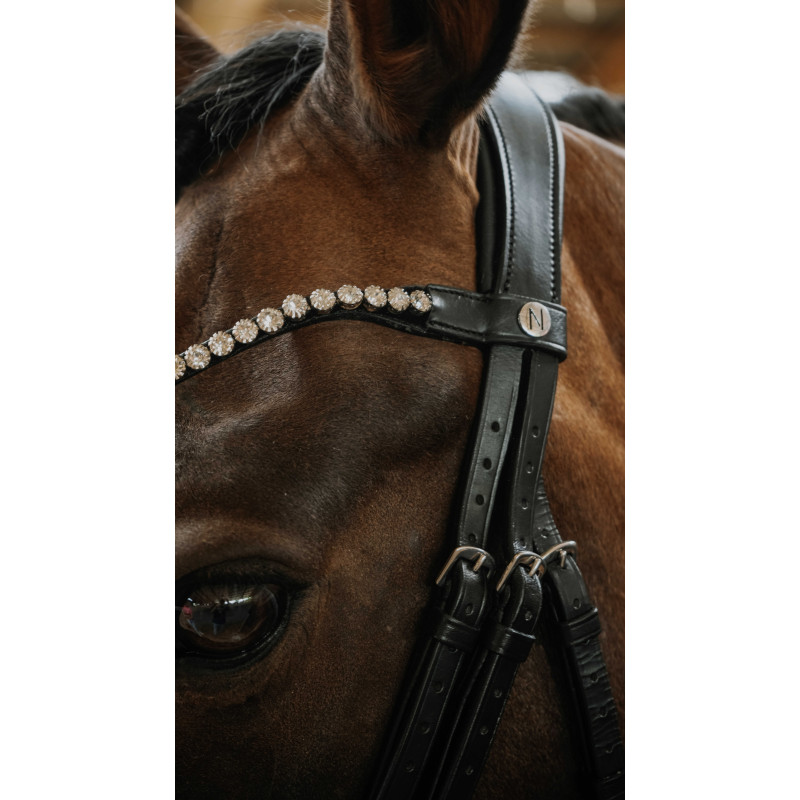 Norton Bridle Diams