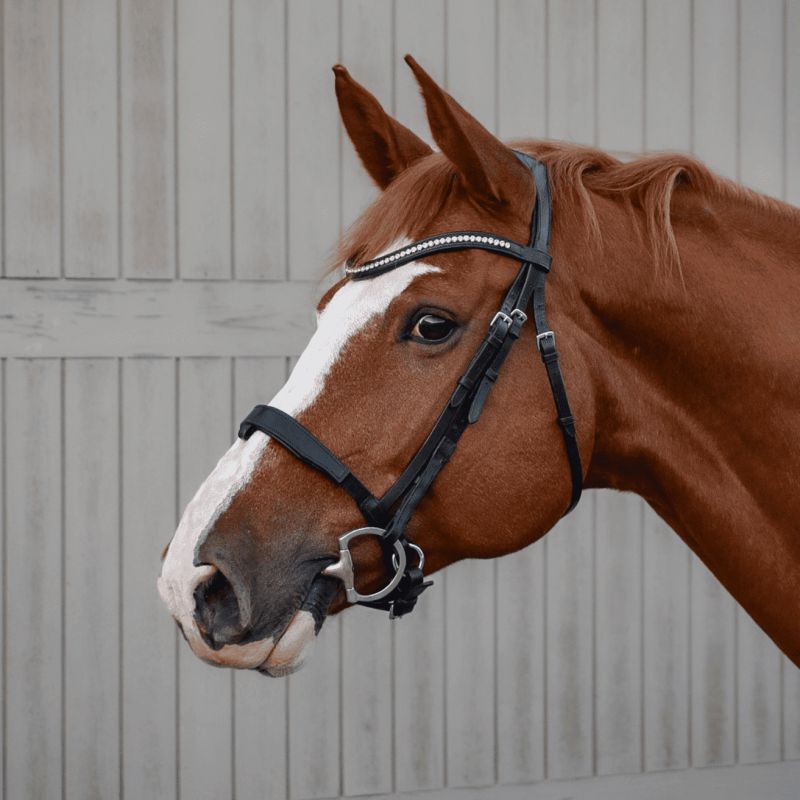 Cheek Pieces Soft + - Aim'Horse Cheek Pieces Soft + - Aim'Horse