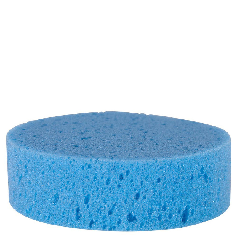 Sponge - BR | Mors & More