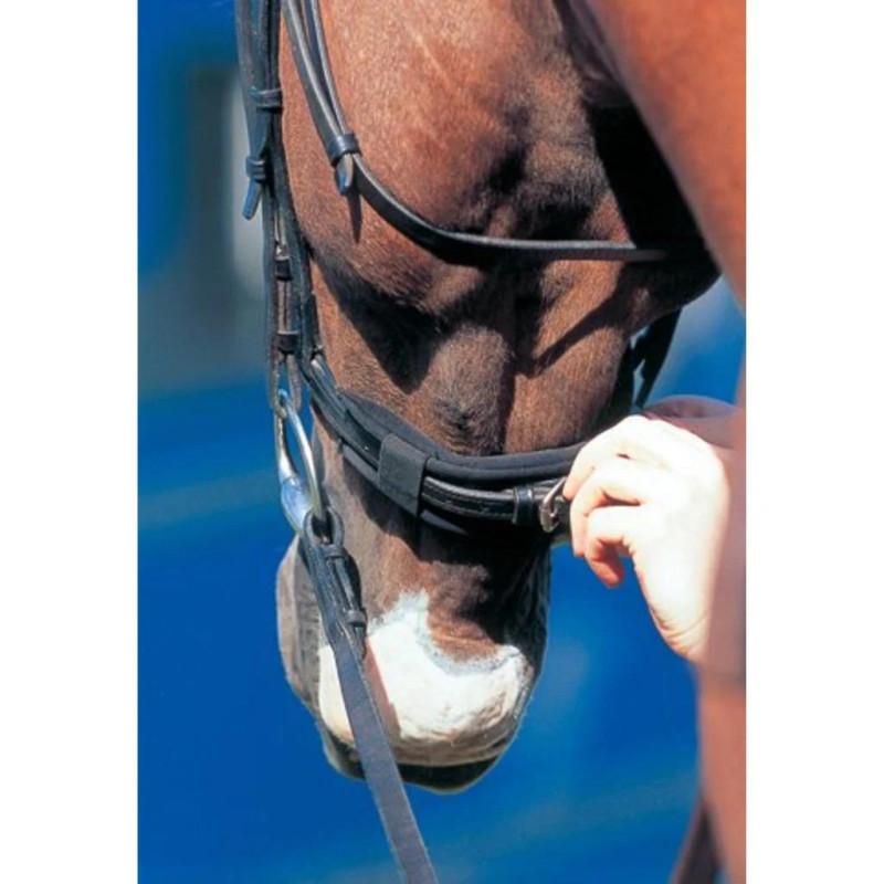 Noseband