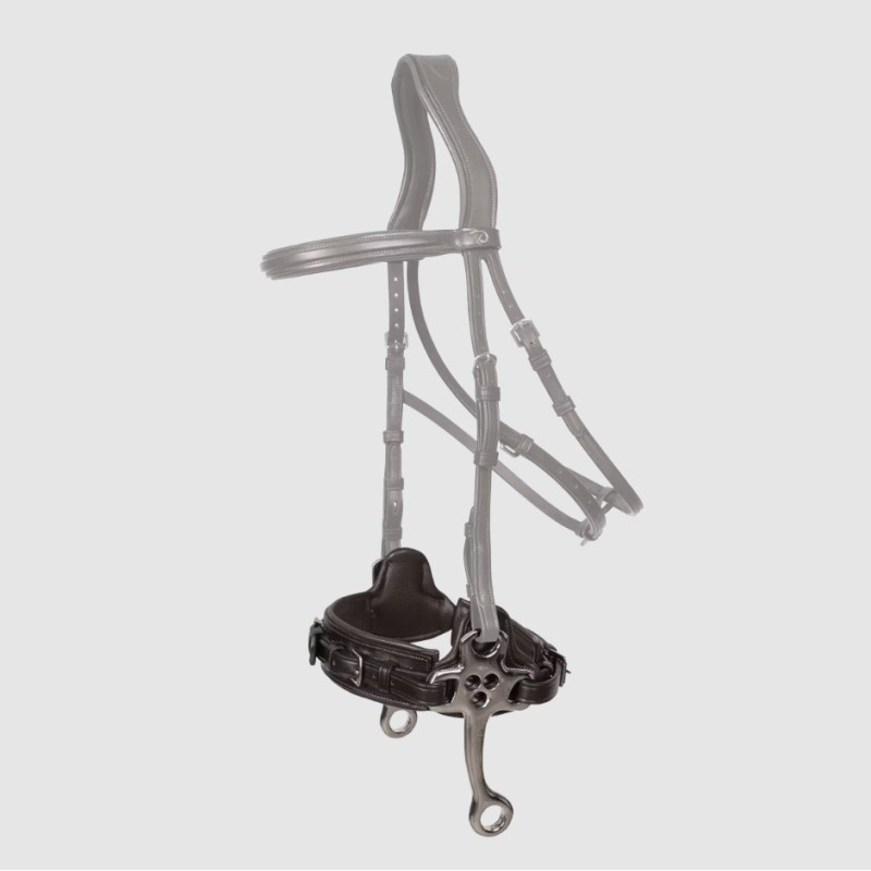 Hackamore leather noseband New English - Dyon  | Mors & More