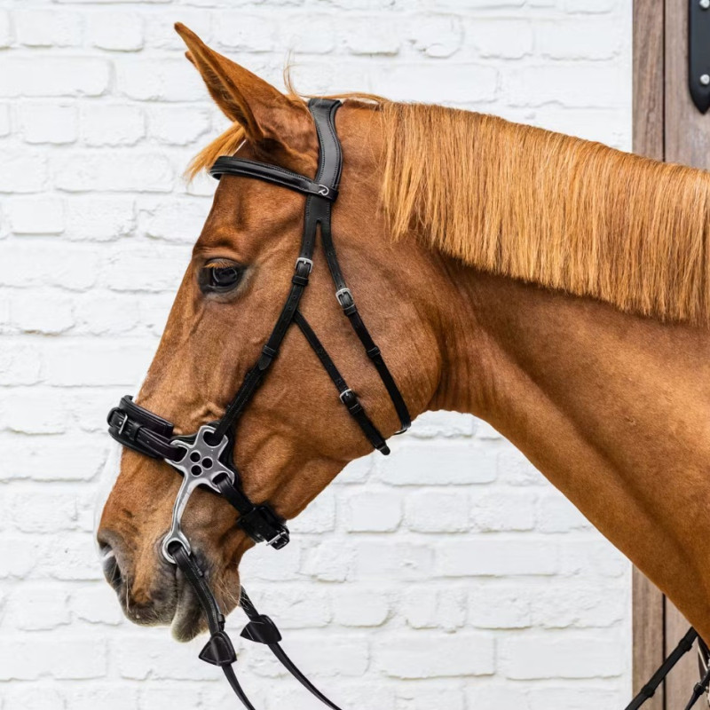 Hackamore nez cuir New English - Dyon | Mors & More