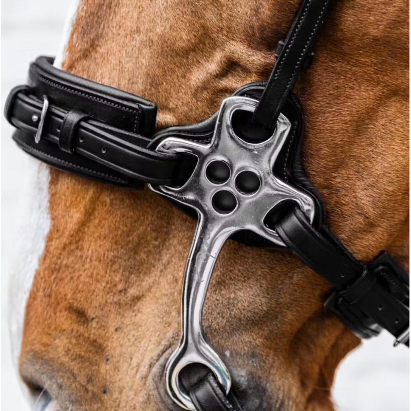Hackamore nez cuir New English - Dyon | Mors & More